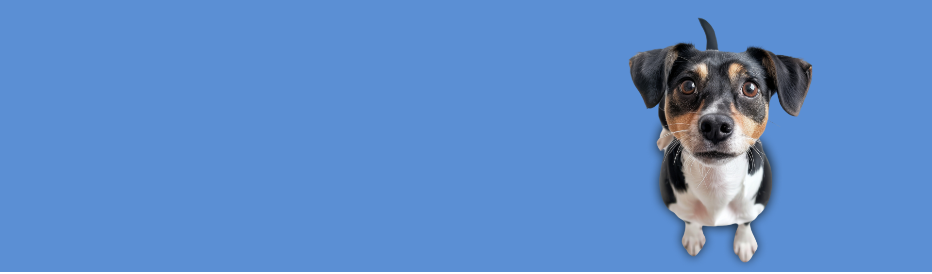 Painel Blue